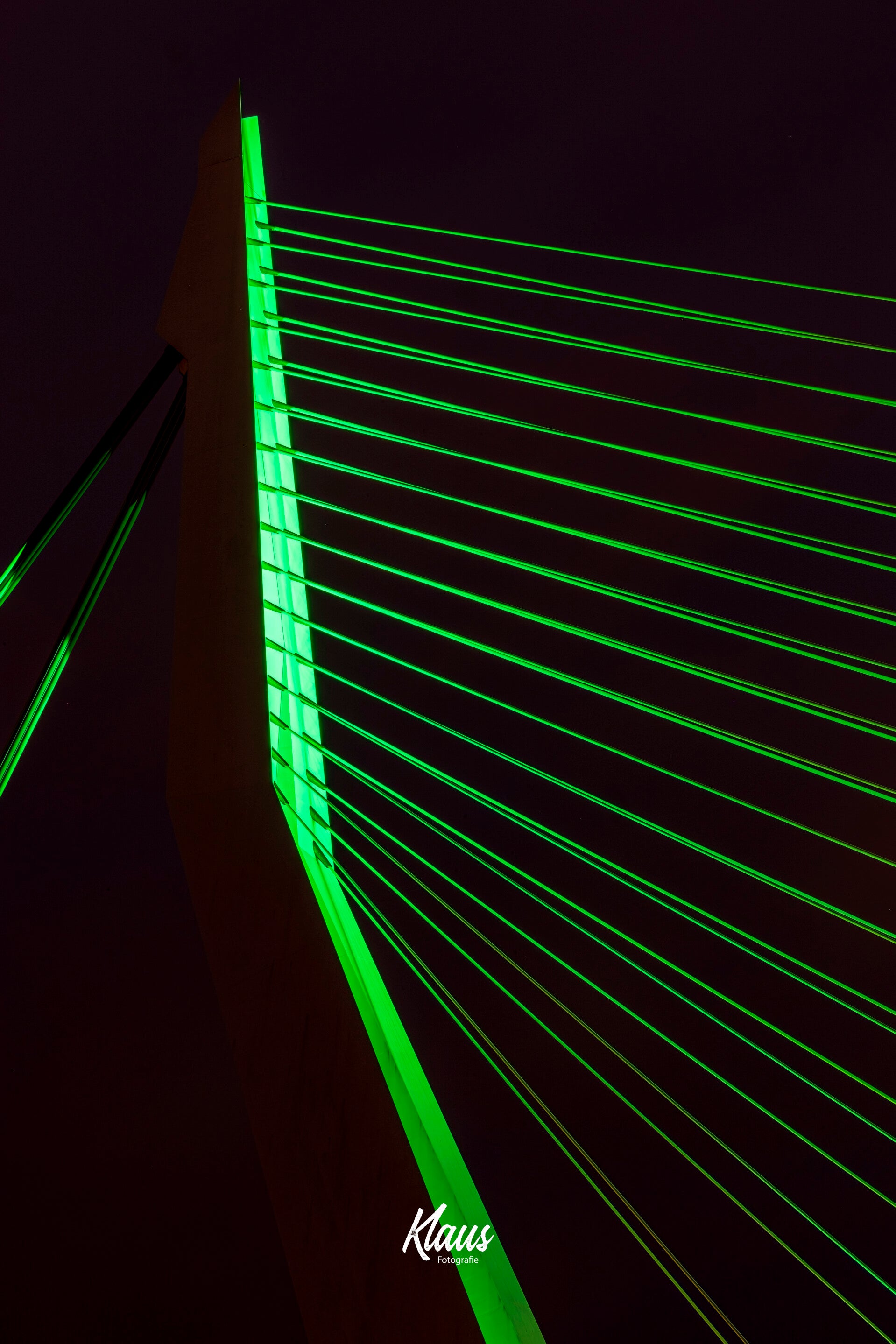 Erasmusbrug