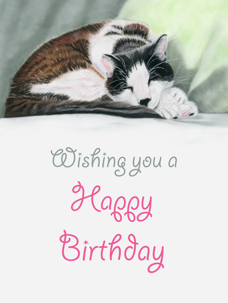 cat-birthday-card-design-7-standard.png