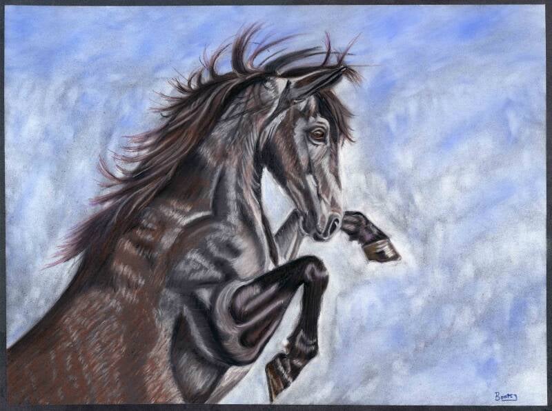horse-pastel-jpeg-standard.jpg