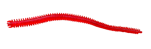Red Worm 13cm