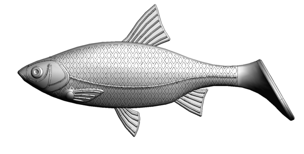 Roach   12cm
