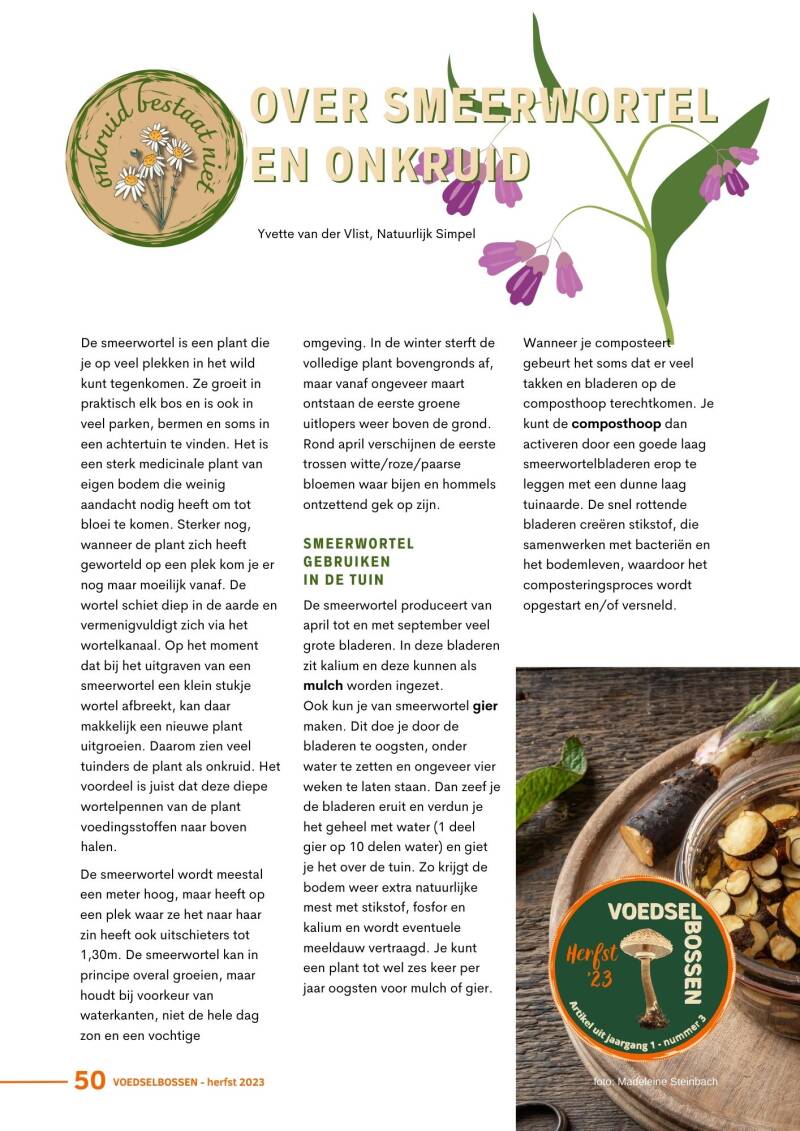 Artikel herfst '23: Onkruid bestaat niet. Smeerwortel 