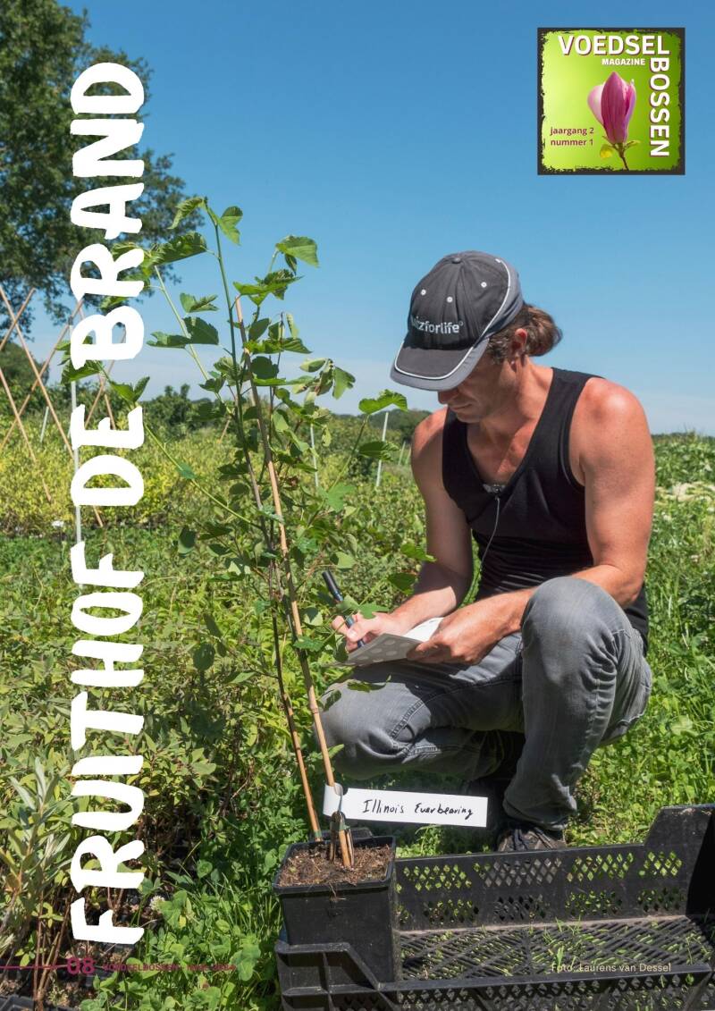 Artikel lente '24: Voedselbos Fruithof de Brand 1