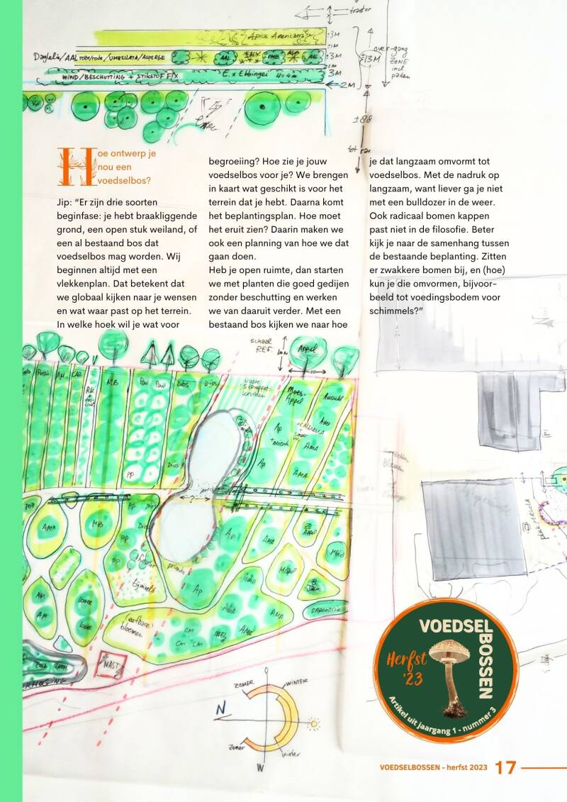 Artikel herfst '23: Voedselboskabouters