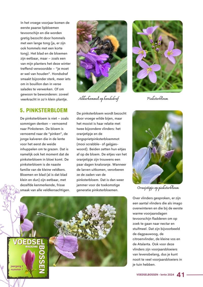 Artikel lente '24 : Eetbare voorjaarsbloeiers