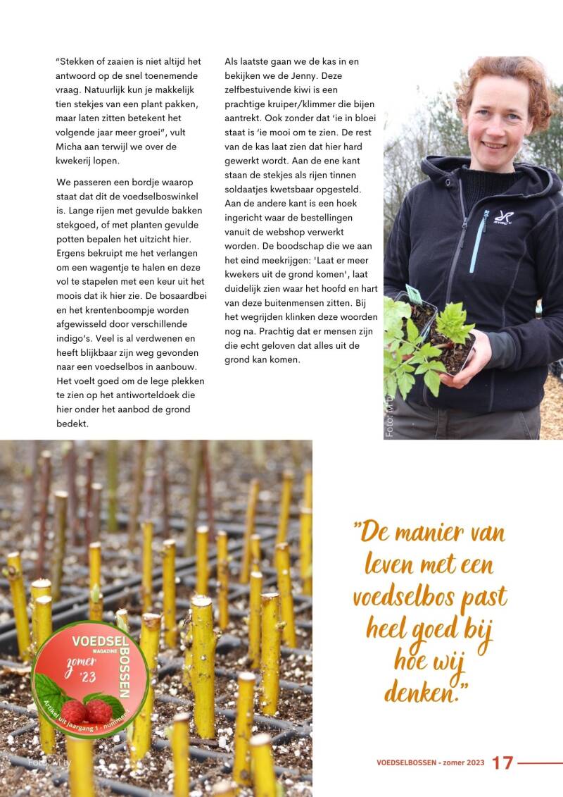 Artikel zomer '23: interview Arborealis 