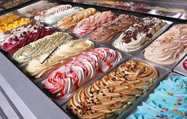 Ambachtelijk schepijs (roomijs + sorbet)