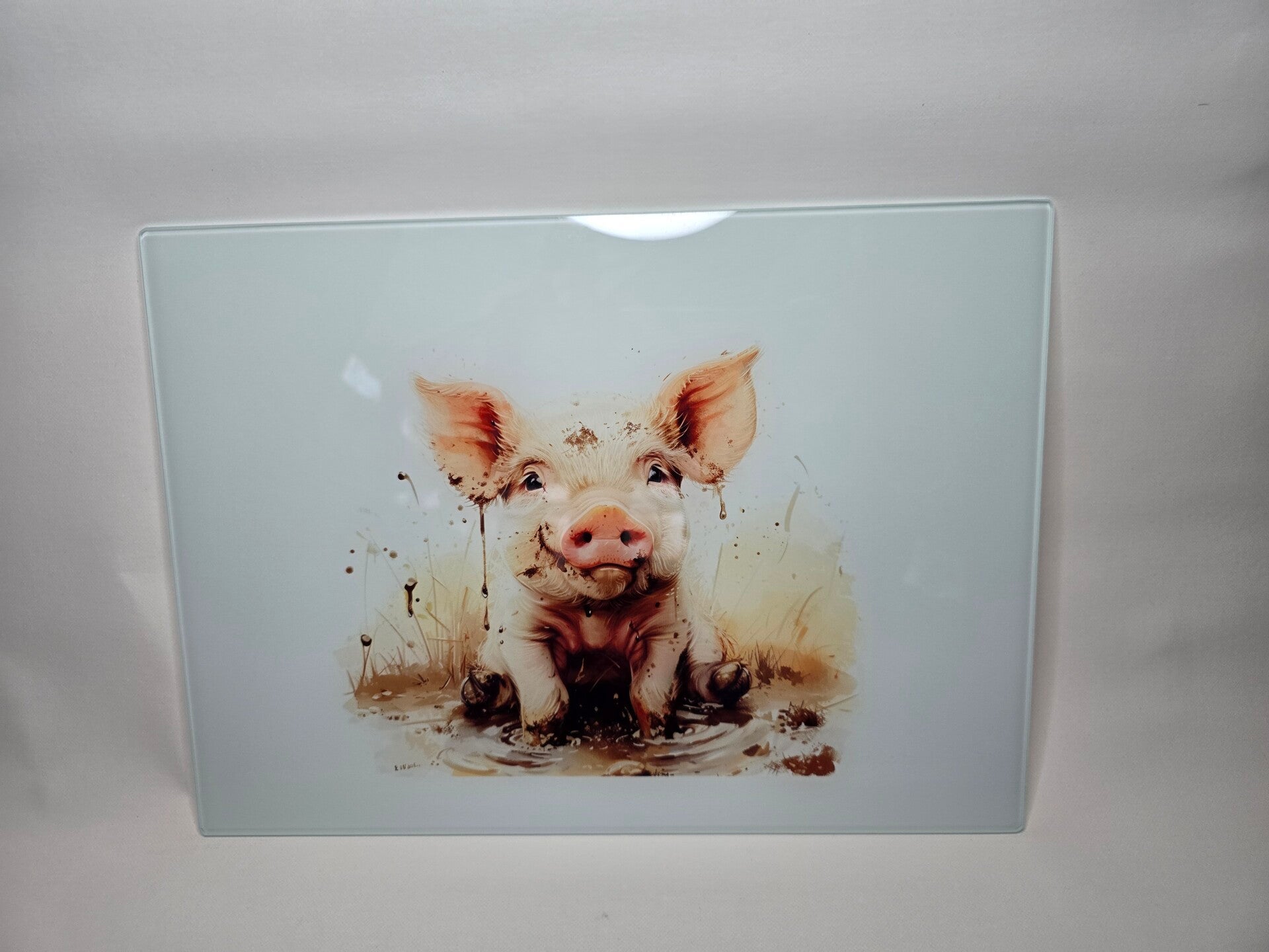 Glass Chopping board