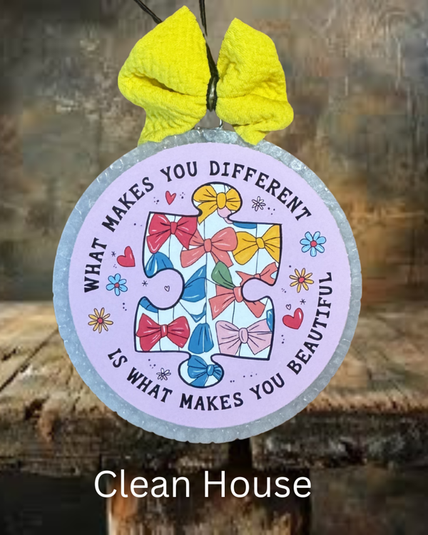 What Makes You Different Freshie - Clean House Scent
