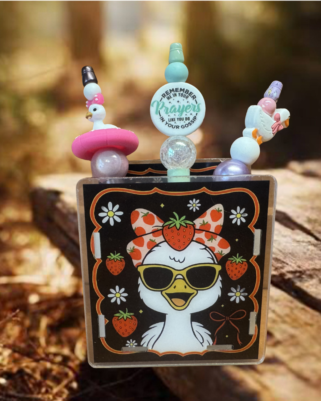 Sunglass Goose Acrylic Container