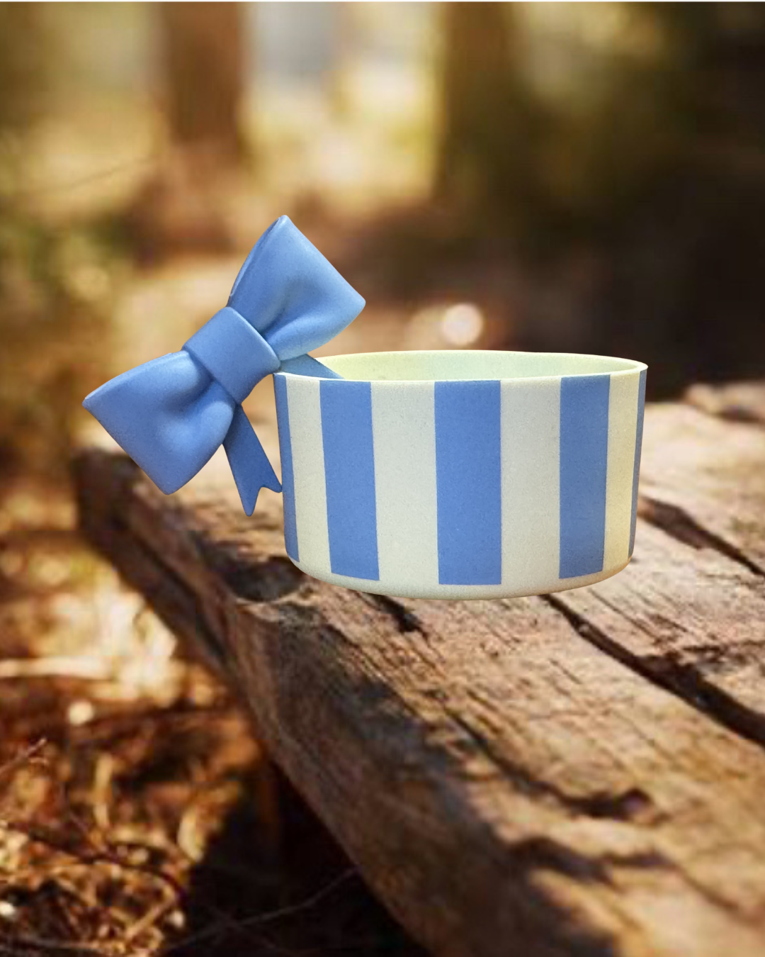 Tumbler Boot and Bow Set - Blue Stripe