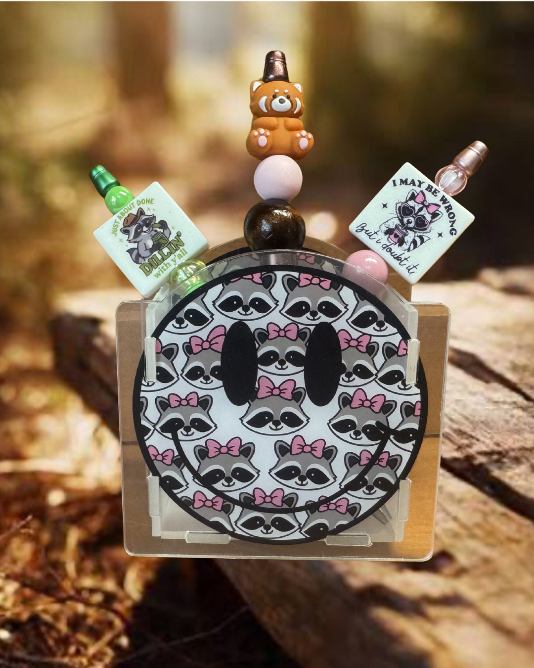 Raccoon Smiley Face Acrylic Container