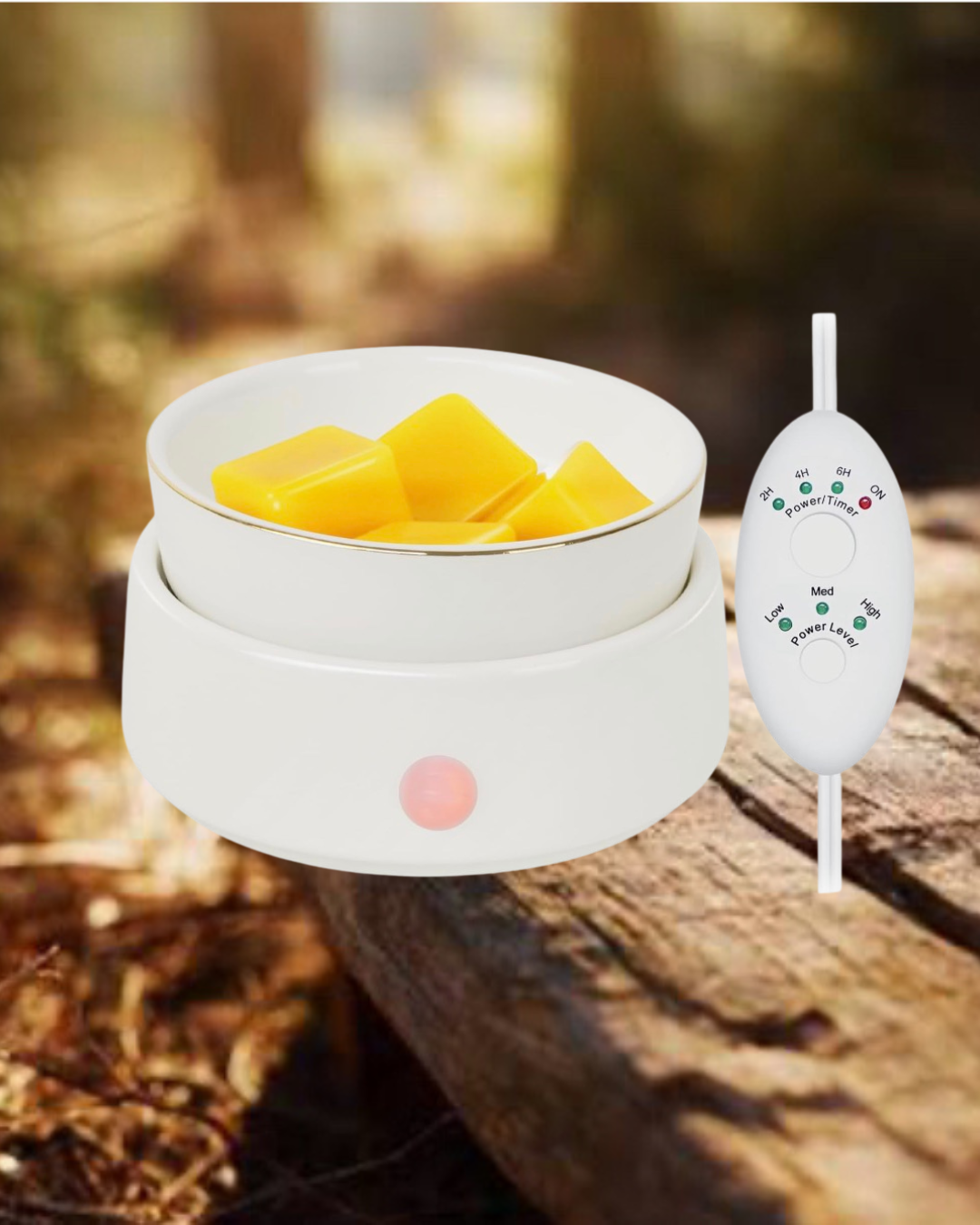 Electric Wax Warmer with Timer
