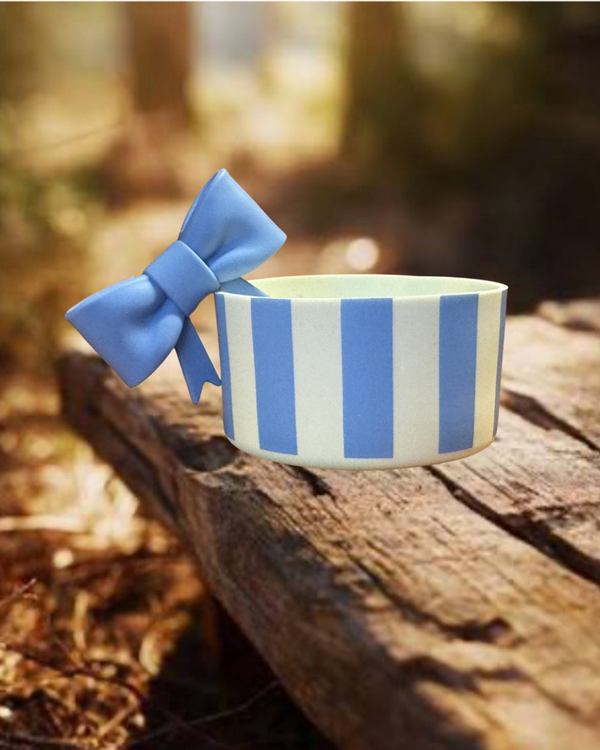 Tumbler Boot and Bow Set - Blue Stripe