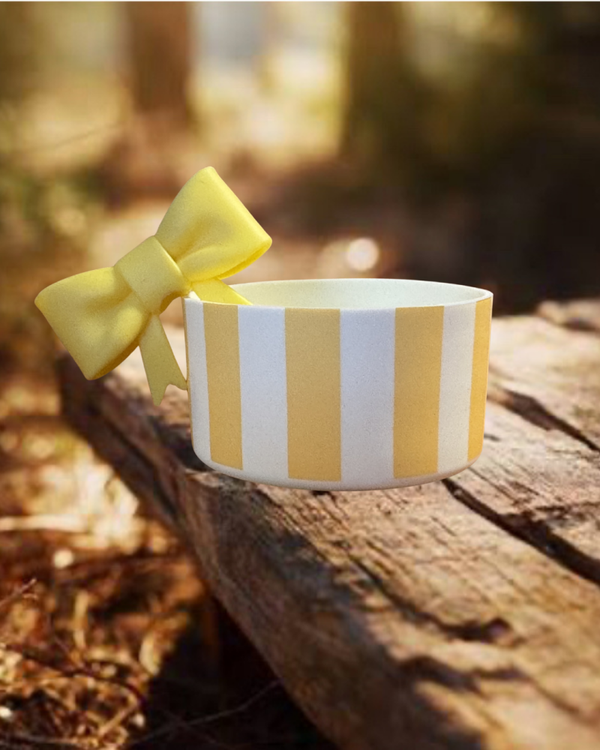 Tumbler Boot and Bow Set - Yellow Stripe