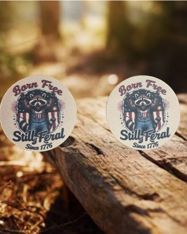 Raccoon Car Coasters