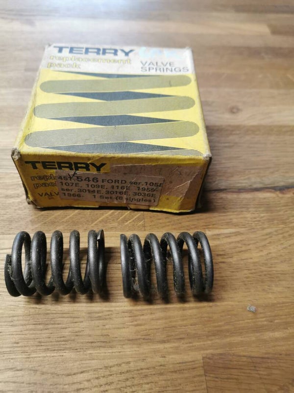 Ford Replacement Valve springs (a pair)