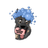 The Barkside Grooms