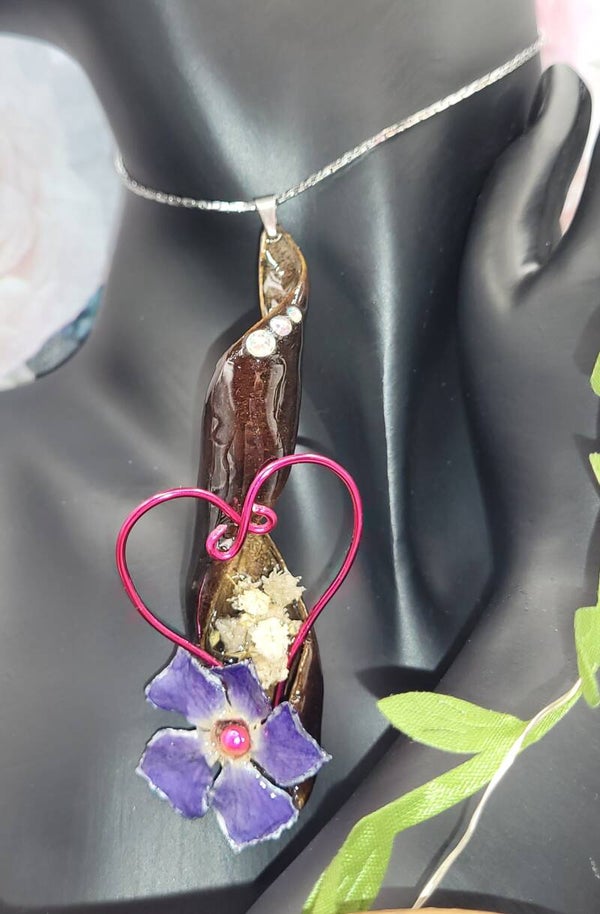 Collier Coque de Glycine
