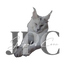 Jet Pet&#039;s Coon