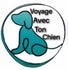 voyage avec ton chien