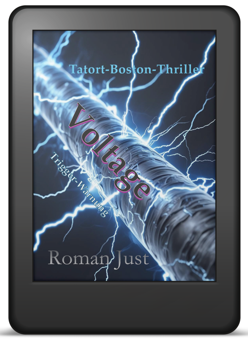 Tatort-Boston-Thriller - Band 6 - Cover E-Book