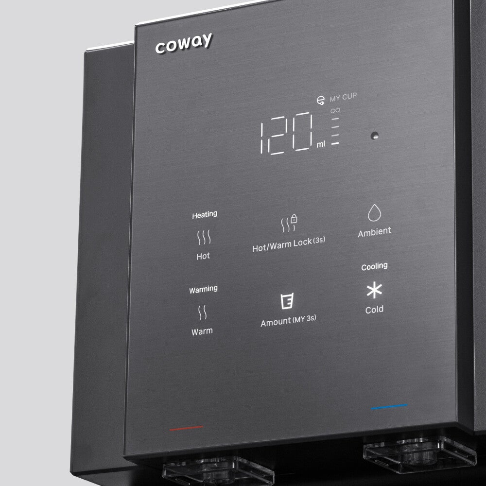 Coway Villaem 3 - Control Panel