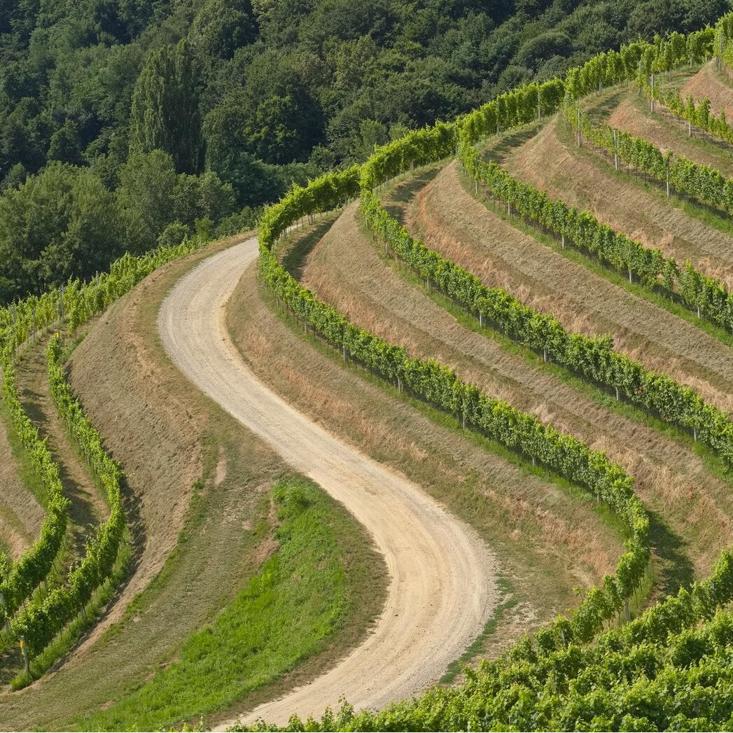 Prosecco hills ride tour unesco landscapes cycling, Follina , Valdobbiadene, Refrontolo, Pieve di Soligo