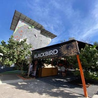 blackbird-1-standard.jpg
