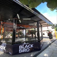 blackbird-7-standard.jpg