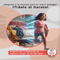 karate-1-standard.jpg