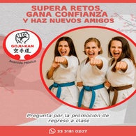 karate-4-standard.jpg
