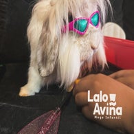 lalo1-standard.jpg