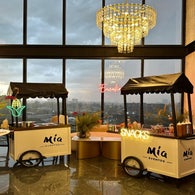 mia1-standard.jpg