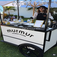 murmur2-standard.png