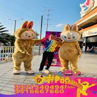 pachanga4-standard.jpg