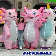 picardias7-standard.jpg