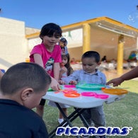 picardias8-standard.jpg