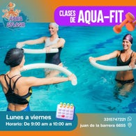 splash-2-standard.jpg