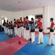 taekwondo-1-standard.jpg