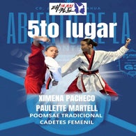 taekwondo-4-standard.jpg