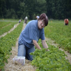 _dsc6777-standard.jpg