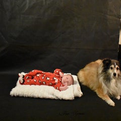 dsc_4329-standard.jpg
