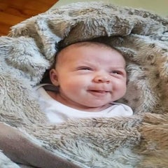 received_264857027527935-standard.jpg