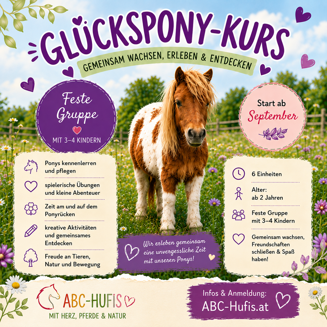 Glücksponykurs