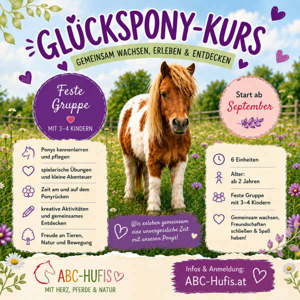 Glücksponykurs