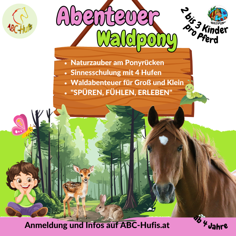Abenteuer Wald ab 4 Jahren