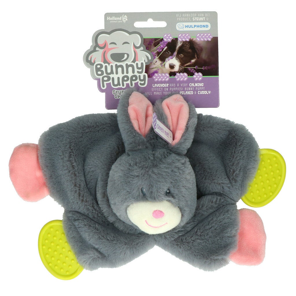 Lapin Puppy Croquant à mâcher