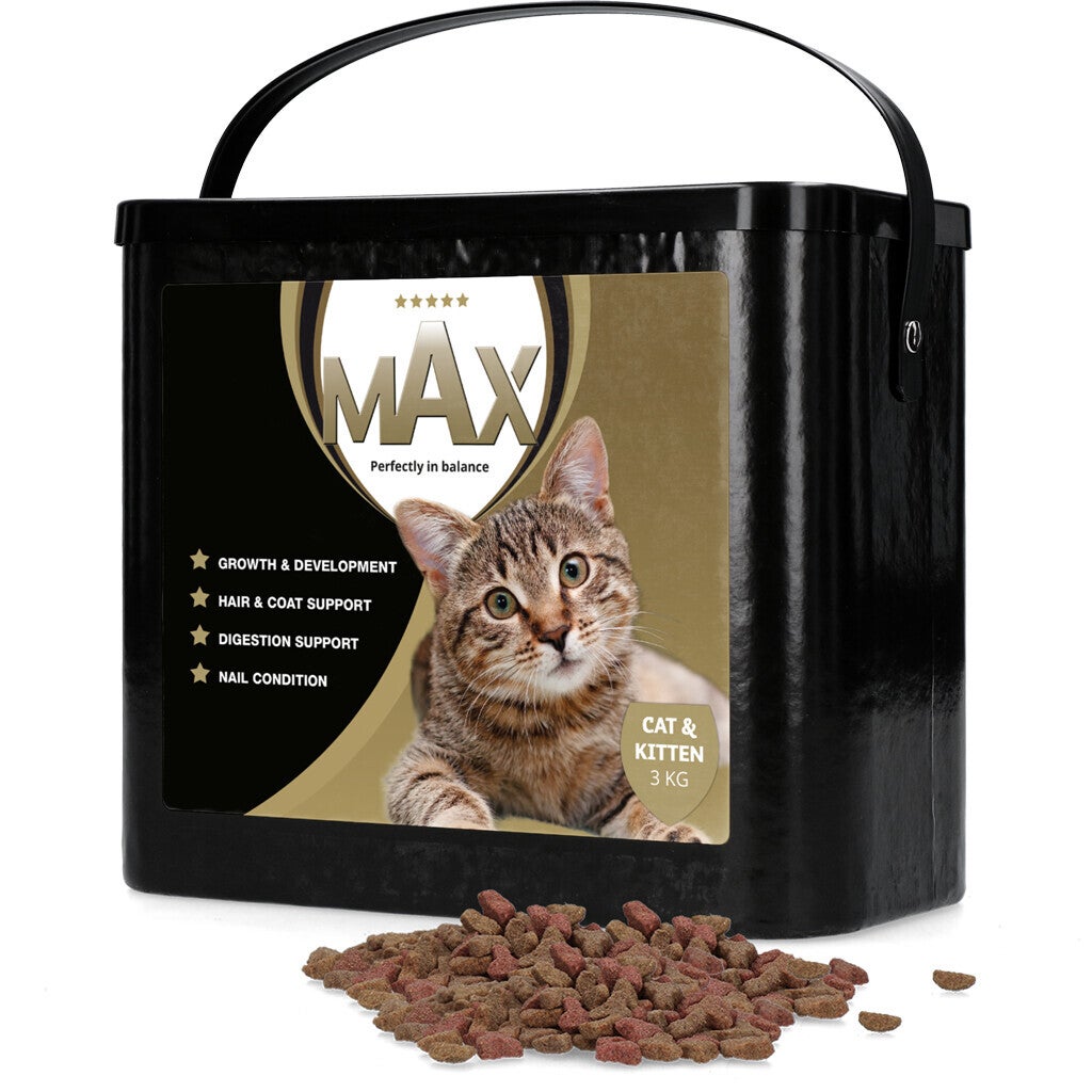 Max chat et chaton 3 kg