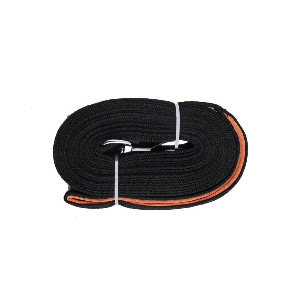 Laisse d'entraînement longue